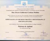 Diplomas Guille_page-0003